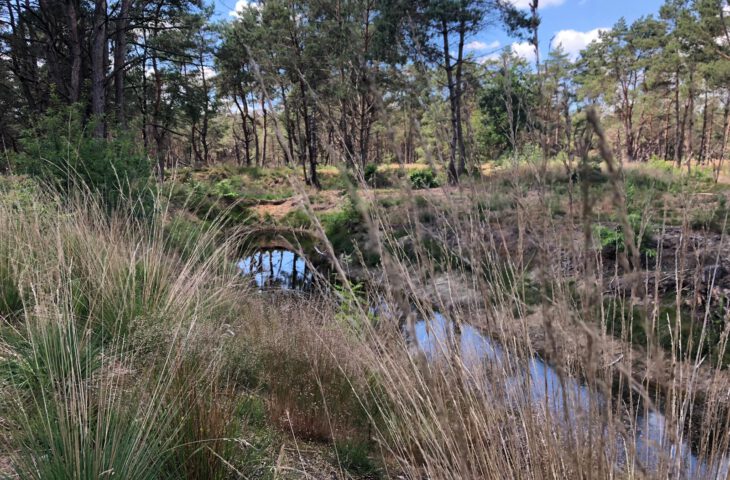 Eén met de natuur